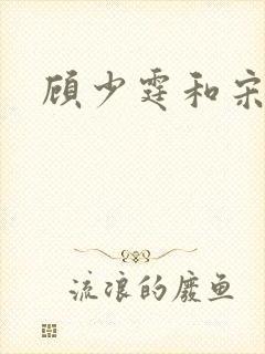 顾少霆和宋斯曼