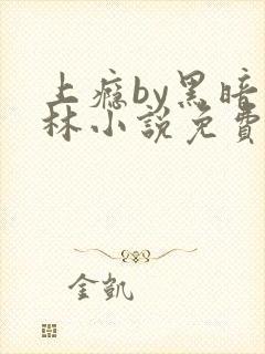 上瘾by黑暗森林小说免费