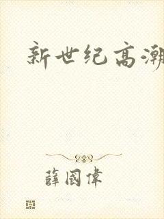 新世纪高潮战队