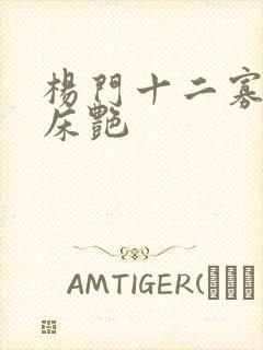 杨门十二寡妇肉床艳
