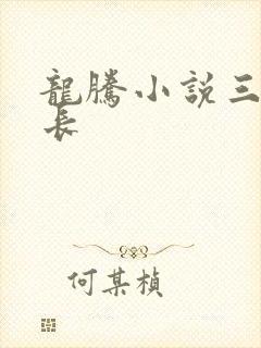 龙腾小说三宝局长