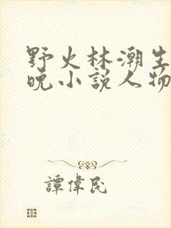 野火林潮生林晚晚小说人物野火