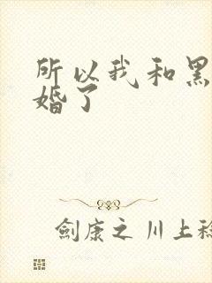 所以我和黑粉结婚了