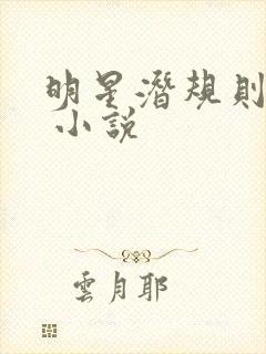 明星潜规则之皇 小说