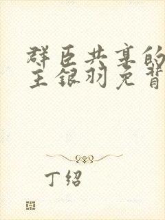 群臣共享的小公主银羽免背刺