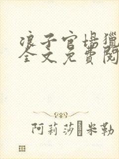 浪子官场猎艳记全文免费阅读