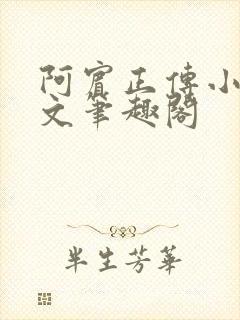 阿宾正传小说全文笔趣阁