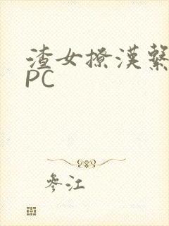 渣女撩汉系统NPC