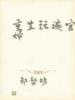 重生玩遍官场贵妇