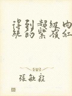 得到超级肉禽系统的紫岭红山