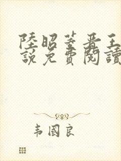 陆昭菱晋王的小说免费阅读