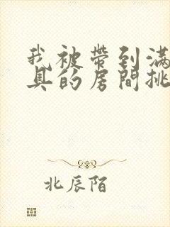 我被带到满是玩具的房间挑调游戏