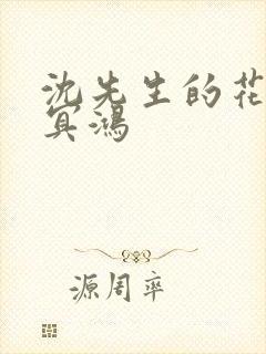 沈先生的花式调冥鸿