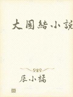 大团结小说下载