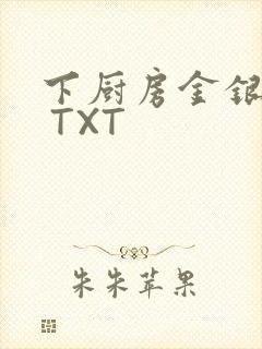 下厨房金银花露 TXT