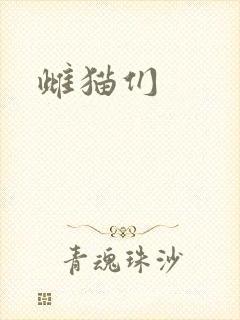 雌猫们