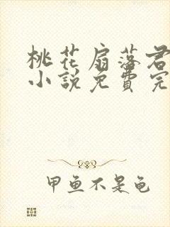 桃花扇落君不还小说免费完整版