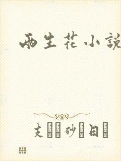 两生花小说