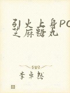 引火上身POP芝麻糖丸