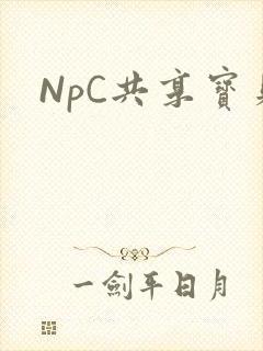 NpC共享宝贝