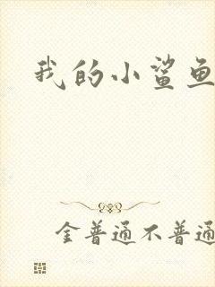 我的小鲨鱼