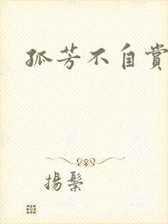 孤芳不自赏小说