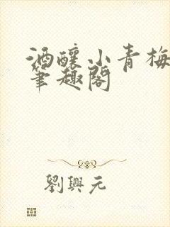 酒酿小青梅po笔趣阁
