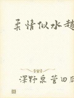 柔情似水赵雅儿