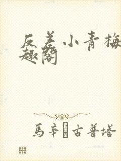 反差小青梅 笔趣阁