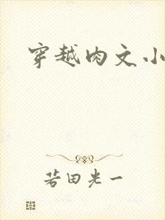 穿越肉文小说