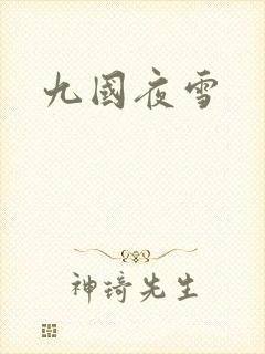 九国夜雪