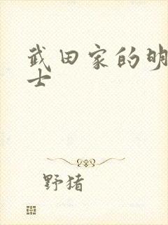 武田家的明国武士