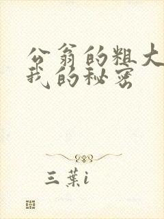 公翁的粗大放进我的秘密