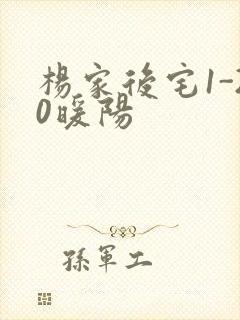 杨家后宅1-20暖阳