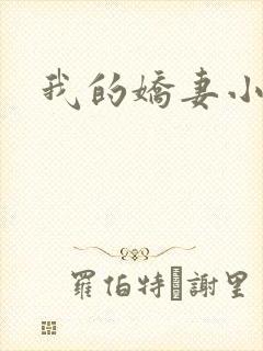 我的娇妻小说