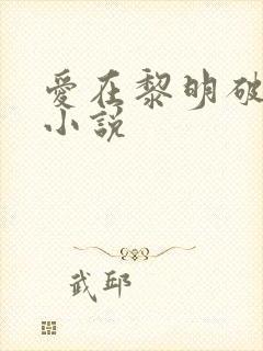 爱在黎明破晓前小说