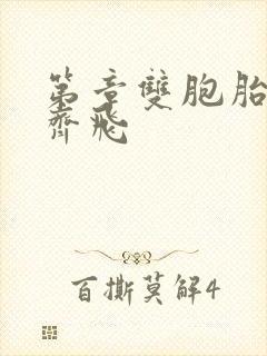 第章双胞胎姐妹齐飞