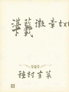 湛蓝徽章txt下载