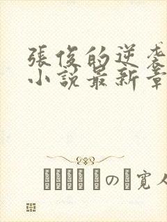 张俊的逆袭之路小说最新章节