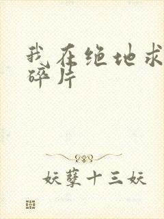 我在绝地求生捡碎片