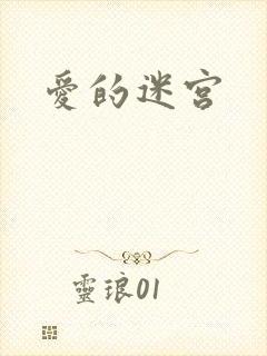 爱的迷宫