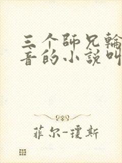 三个师兄轮流上音的小说叫什么