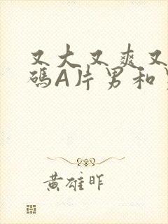 又大又爽又黄无码A片男和男