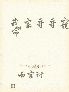 我家哥哥宠妹如命