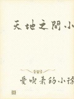天地之间小说
