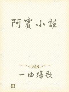 阿宾小说