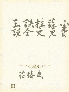 王铁柱苏小汐小说全文免费阅读最新章节