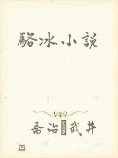 骆冰小说