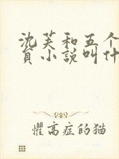 沈芙和五个消防员小说叫什么