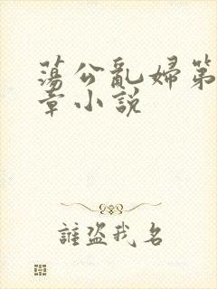 荡公乱妇第51章小说